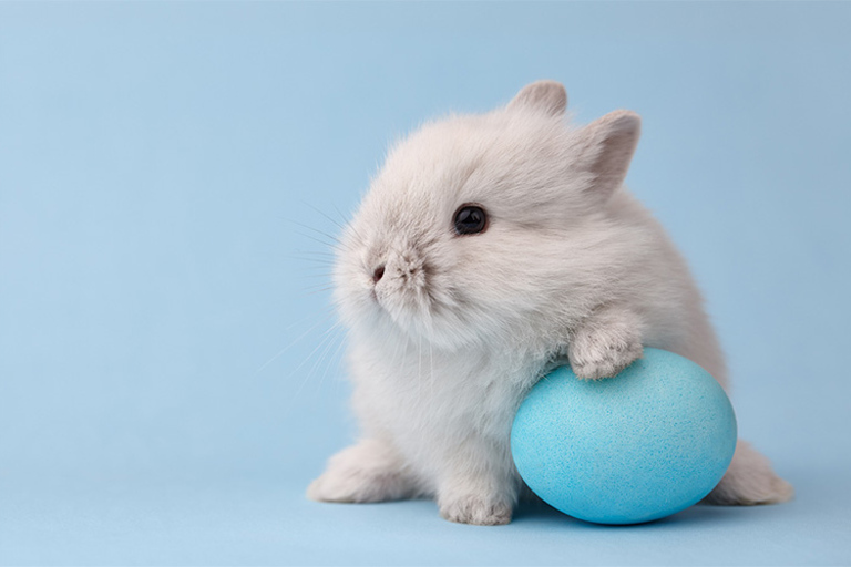 Hase mit Osterei